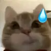 aerisyadinul