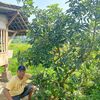 anugrahbibitmagelang