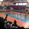 zenon.pacheco6