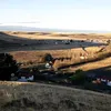 suiclau77