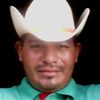 gavilandelnorte