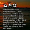 arnur8388