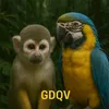 g5dqv