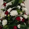 brahimbenahmed83