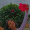 juju_fofa192701