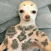tipuzzalagamba