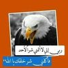 mohamedrouane17