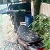 jajargenjang48