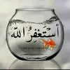 fatimzahrafatimza759