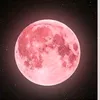 dearstrawberrymoon