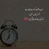 .jutti50
