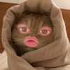 iyaaa_nzyy