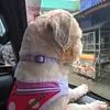 sgt_049