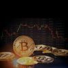 successbtc101