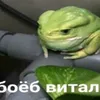 truboeb_vitala