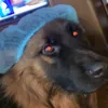 ooglybooglybitchheh