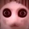 liljm.0