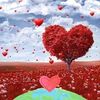 user80100699081846