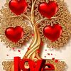 tabu.mohamedi0