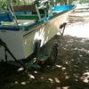 kingfisher0119