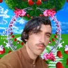 afgan9560