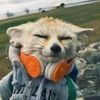 itz_piper2345