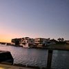 jaxoblake