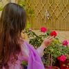 sanam.........516