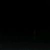 breyder_c