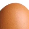 egg5650