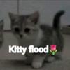 kittyfloodd