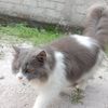 fatamorgana8422
