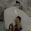 auriliazd04