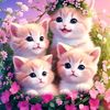 user7497170918360