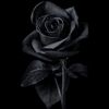 thomas.stw