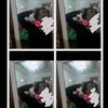 lyaaxxz14_