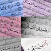 user6372041785478