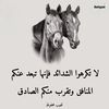 nessibe.med.leghda