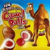 🐪