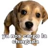 el.mas.insano67