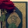 user341165748
