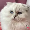 seda_8935