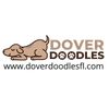 doverdoodlesfl
