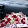 rosaslabellaairosa