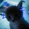 iamincekmd