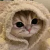 badpapa92