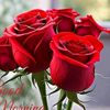 malar71063