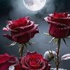 MD Abul Hussain