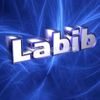 labib.ahmed474