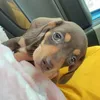 miniature.lyla